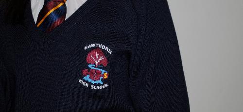New Badge on School Jumper.jpg